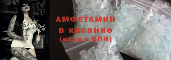 индика Алзамай