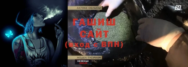 индика Алзамай