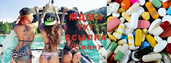 индика Алзамай