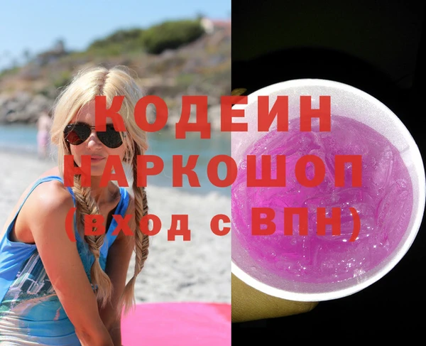 индика Алзамай