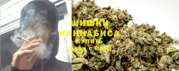 ГАЛЛЮЦИНОГЕННЫЕ ГРИБЫ Алексин